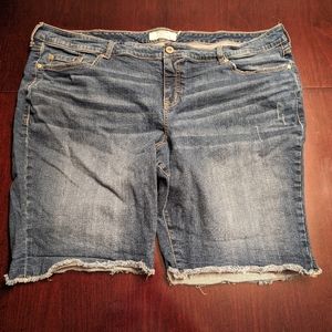 Torrid Denim Shorts 26